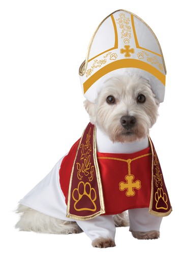 Holy hound dog costume - holy,